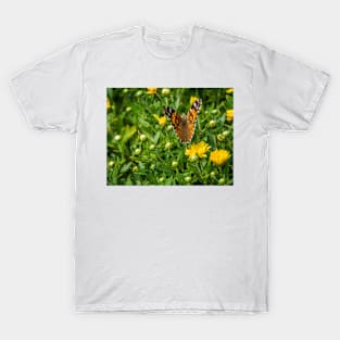 Painted Lady Butterfly by Debra Martz T-Shirt